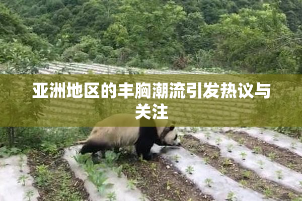 亚洲地区的丰胸潮流引发热议与关注