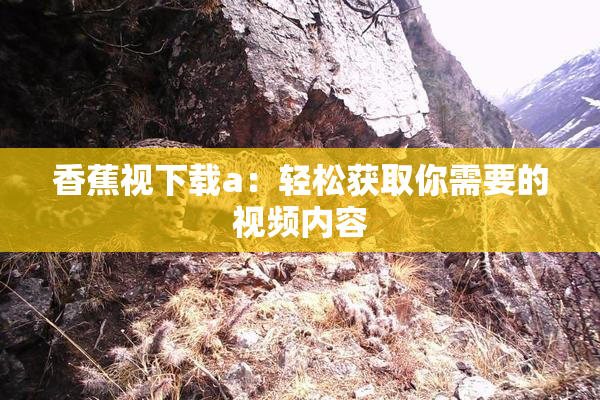 香蕉视下载a：轻松获取你需要的视频内容