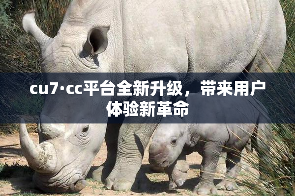 cu7·cc平台全新升级，带来用户体验新革命