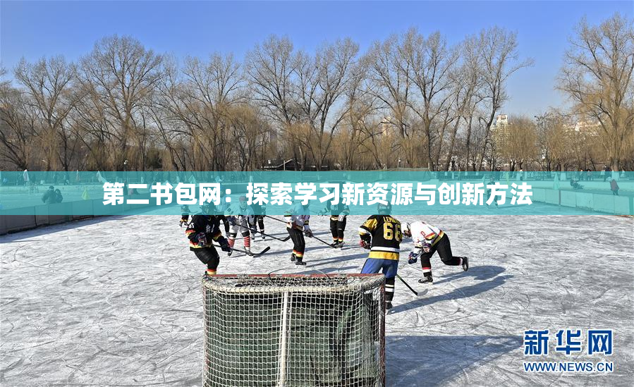 第二书包网：探索学习新资源与创新方法
