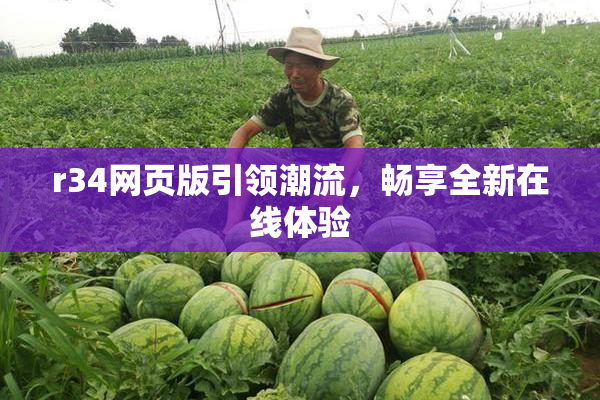 r34网页版引领潮流，畅享全新在线体验