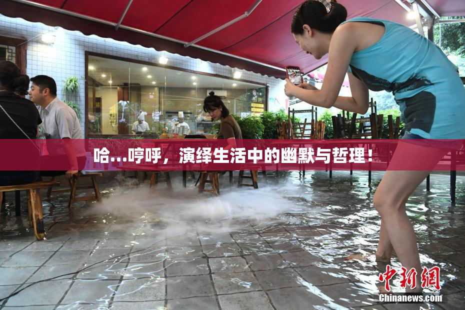 哈…哼呼，演绎生活中的幽默与哲理！