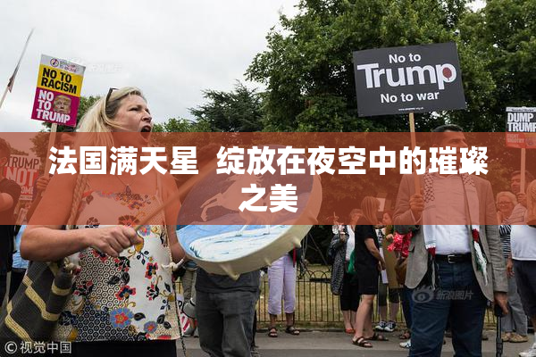 法国满天星  绽放在夜空中的璀璨之美