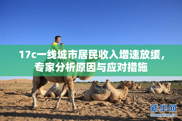 17c一线城市居民收入增速放缓，专家分析原因与应对措施