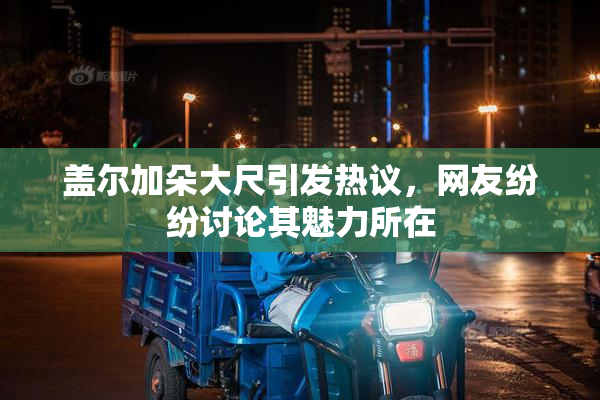 盖尔加朵大尺引发热议，网友纷纷讨论其魅力所在