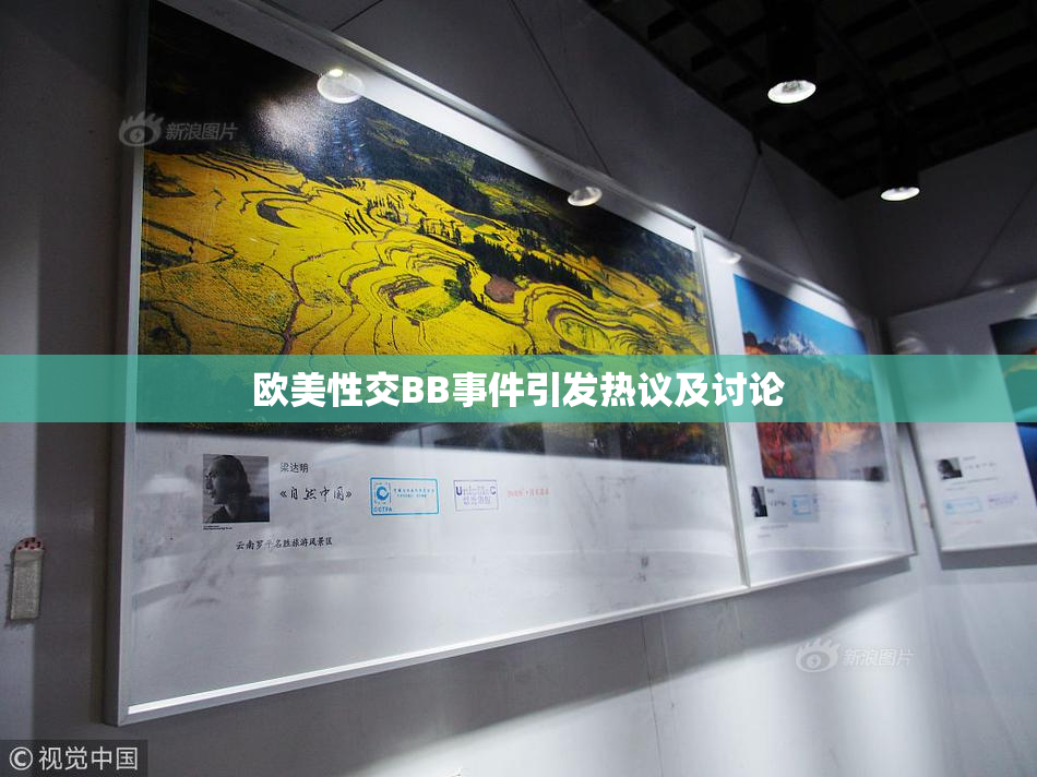 欧美性交BB事件引发热议及讨论