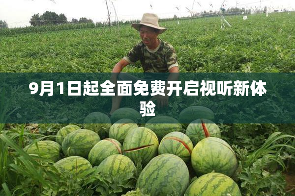 9月1日起全面免费开启视听新体验