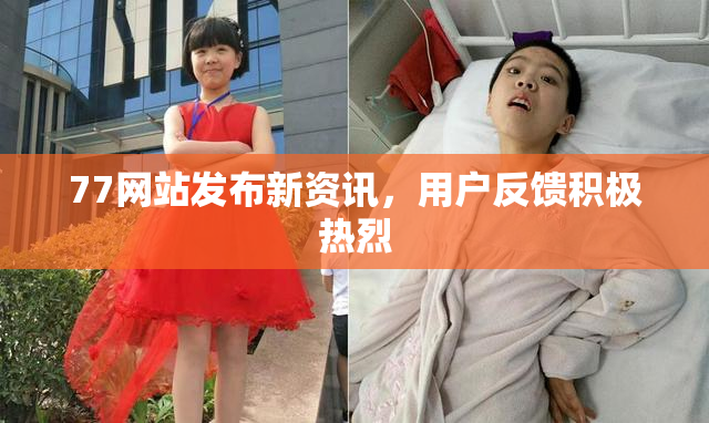 77网站发布新资讯，用户反馈积极热烈