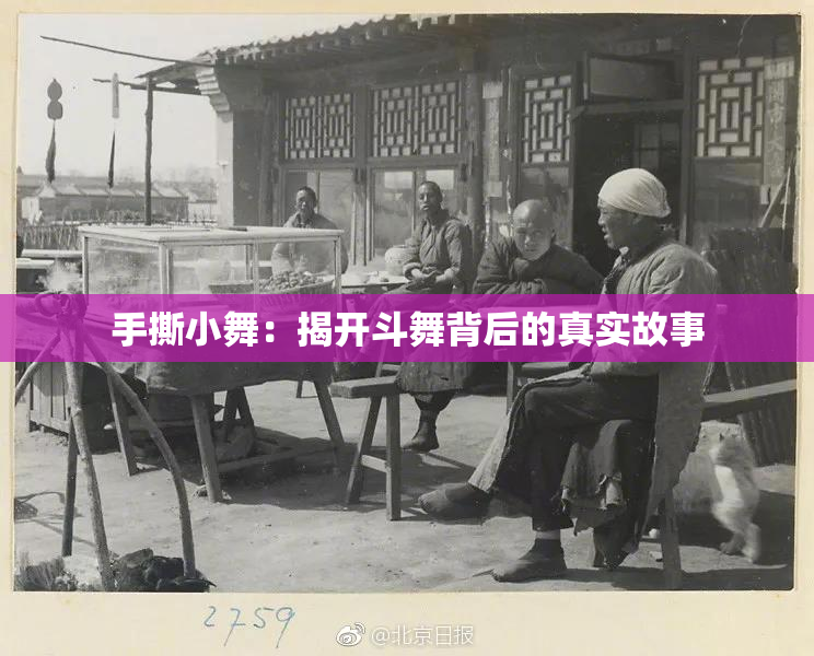 手撕小舞：揭开斗舞背后的真实故事