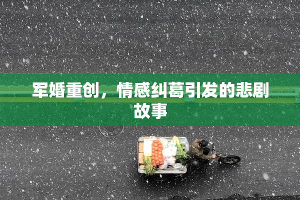 军婚重创，情感纠葛引发的悲剧故事