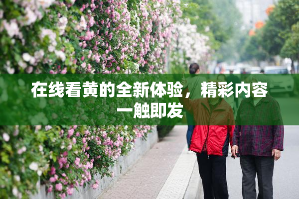 在线看黄的全新体验，精彩内容一触即发