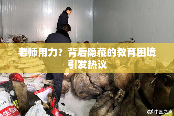 老师用力？背后隐藏的教育困境引发热议
