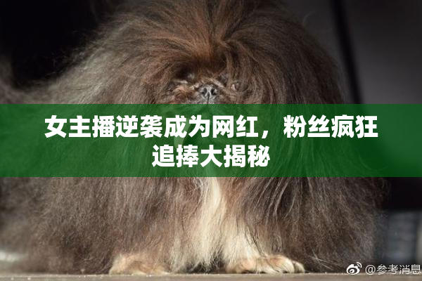女主播逆袭成为网红，粉丝疯狂追捧大揭秘