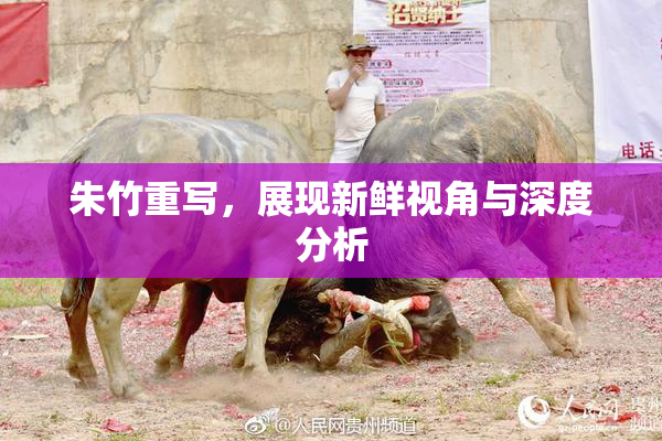 朱竹重写，展现新鲜视角与深度分析