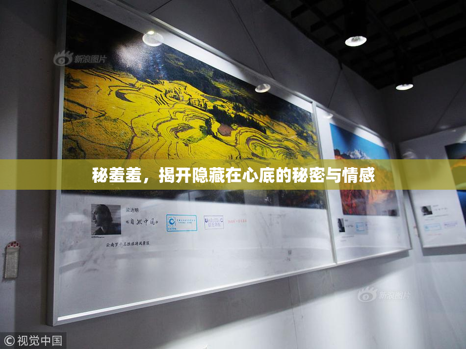 秘羞羞，揭开隐藏在心底的秘密与情感