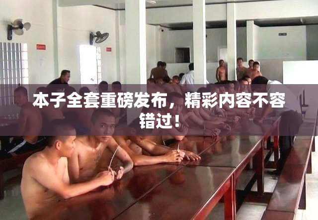 本子全套重磅发布，精彩内容不容错过！