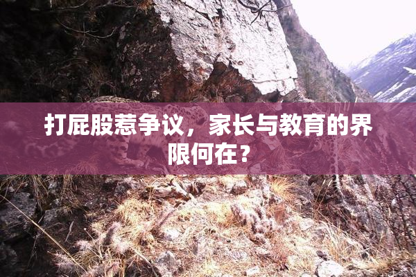 打屁股惹争议，家长与教育的界限何在？