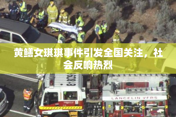 黄鳝女琪琪事件引发全国关注，社会反响热烈