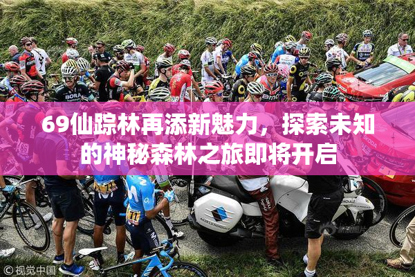 69仙踪林再添新魅力，探索未知的神秘森林之旅即将开启