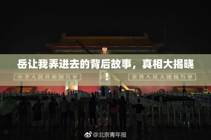 岳让我弄进去的背后故事，真相大揭晓！