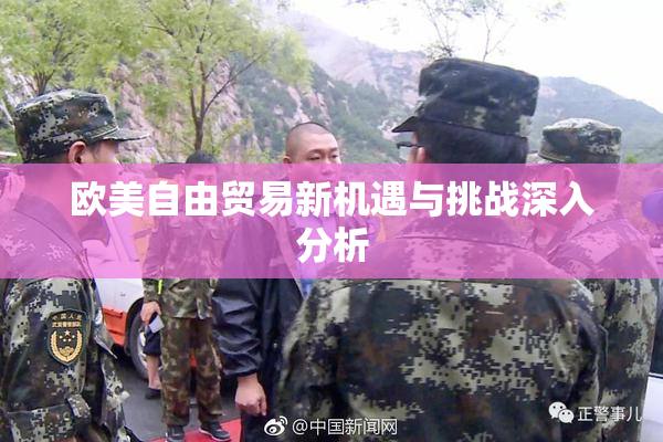 欧美自由贸易新机遇与挑战深入分析