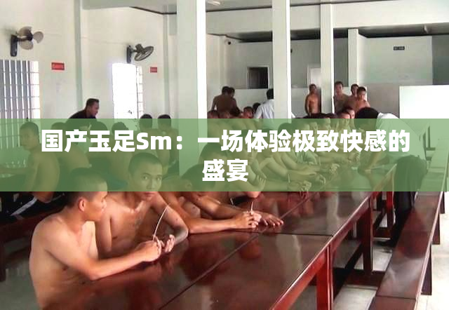 国产玉足Sm：一场体验极致快感的盛宴