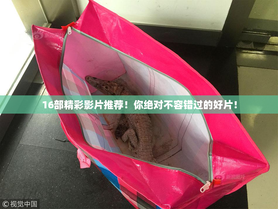 16部精彩影片推荐！你绝对不容错过的好片！