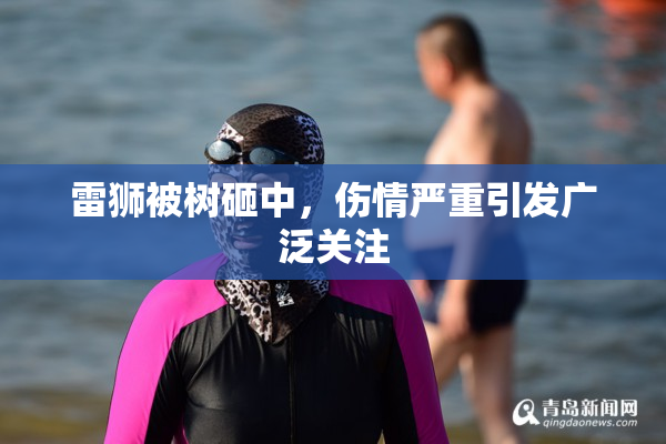 雷狮被树砸中，伤情严重引发广泛关注