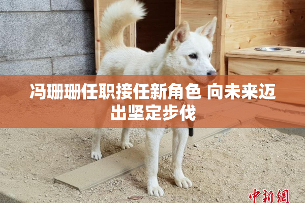 冯珊珊任职接任新角色 向未来迈出坚定步伐