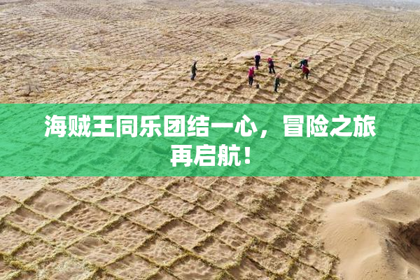 海贼王同乐团结一心，冒险之旅再启航！