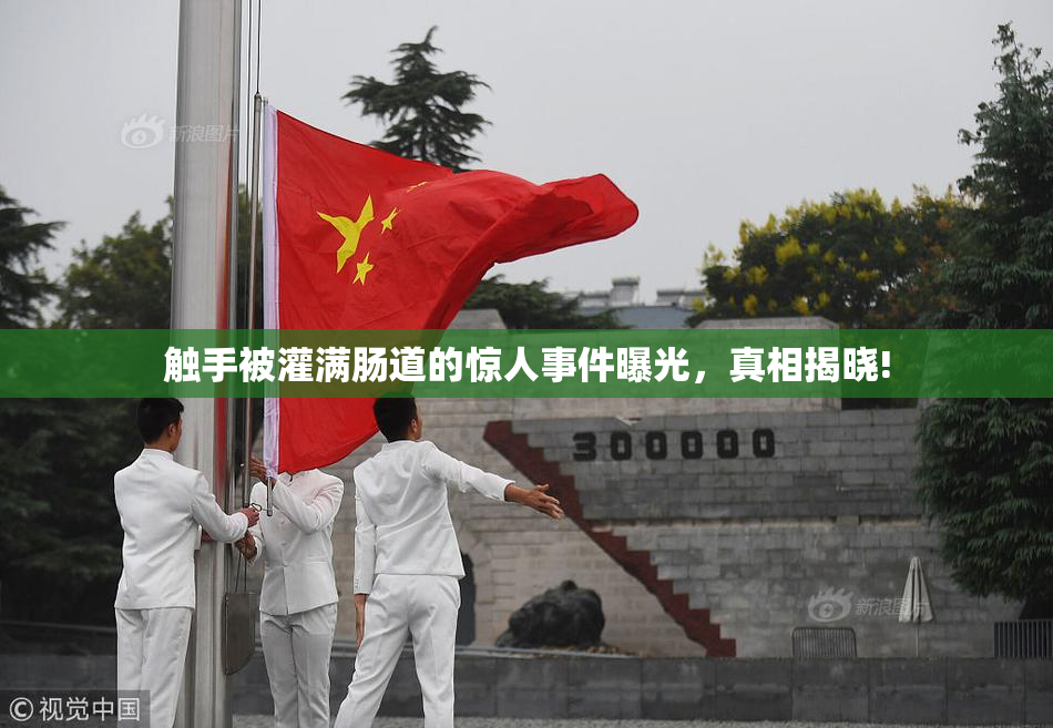 触手被灌满肠道的惊人事件曝光，真相揭晓!