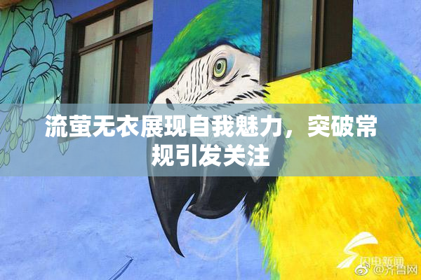 流萤无衣展现自我魅力，突破常规引发关注