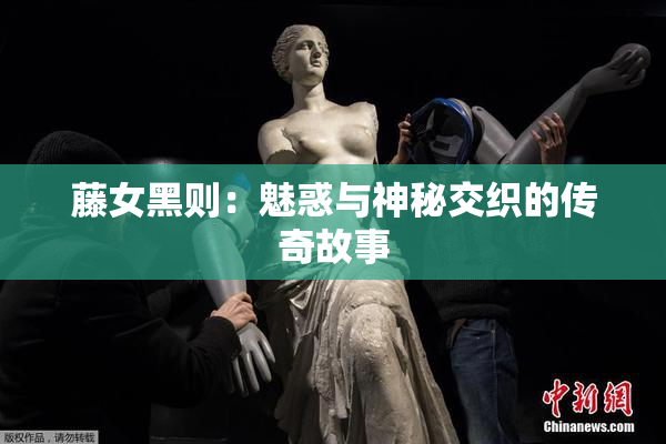 藤女黑则：魅惑与神秘交织的传奇故事