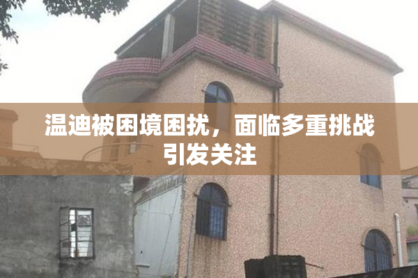温迪被困境困扰，面临多重挑战引发关注
