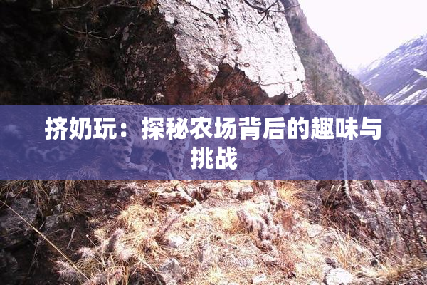 挤奶玩：探秘农场背后的趣味与挑战