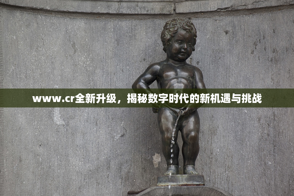 www.cr全新升级，揭秘数字时代的新机遇与挑战