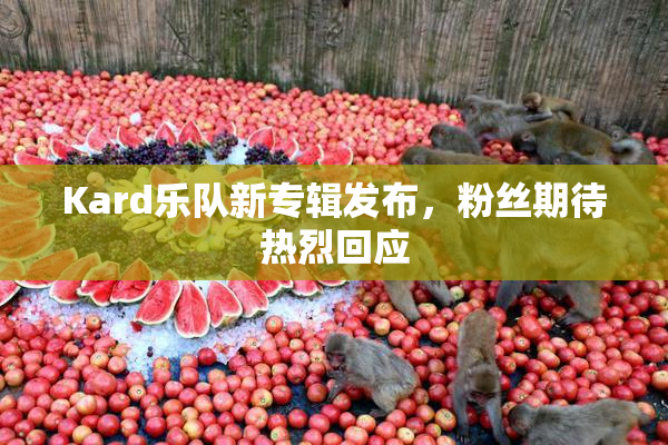 Kard乐队新专辑发布，粉丝期待热烈回应