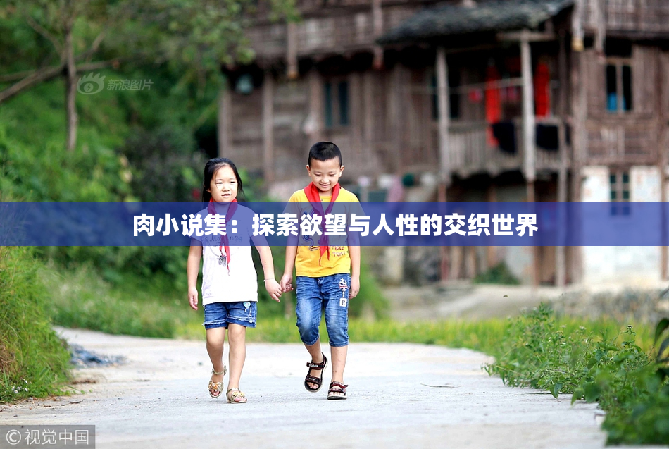 肉小说集：探索欲望与人性的交织世界