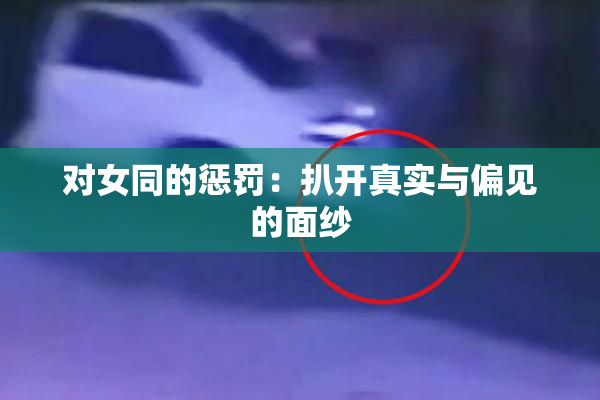 对女同的惩罚：扒开真实与偏见的面纱
