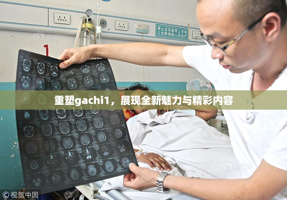 重塑gachi1，展现全新魅力与精彩内容