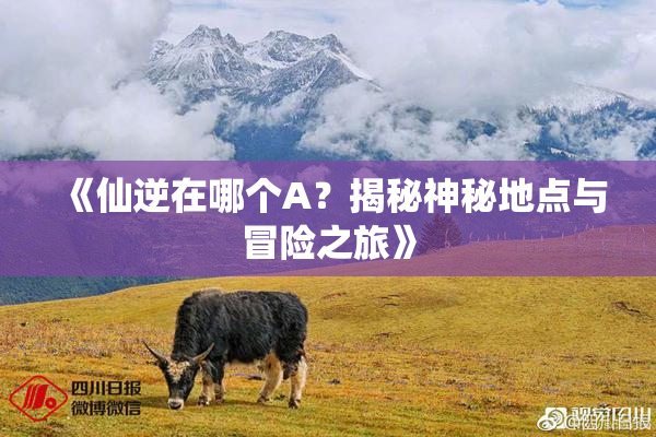 《仙逆在哪个A？揭秘神秘地点与冒险之旅》