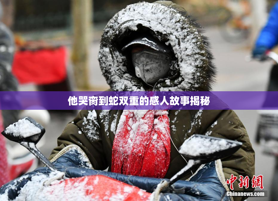 他哭脔到蛇双重的感人故事揭秘