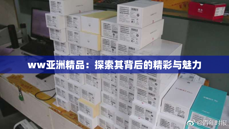 ww亚洲精品：探索其背后的精彩与魅力
