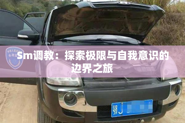 Sm调教：探索极限与自我意识的边界之旅