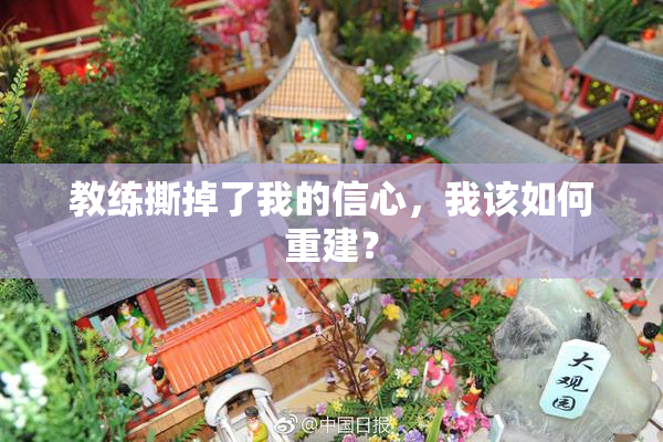 教练撕掉了我的信心，我该如何重建？