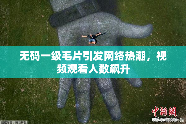 无码一级毛片引发网络热潮，视频观看人数飙升