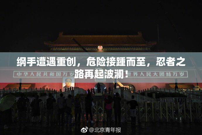 纲手遭遇重创，危险接踵而至，忍者之路再起波澜！
