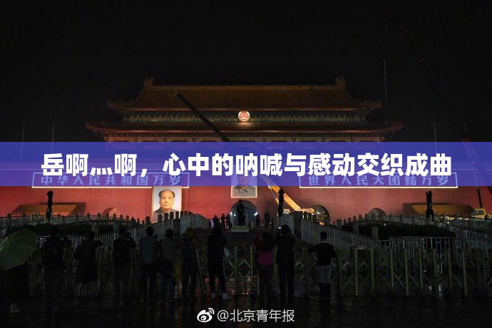 岳啊灬啊，心中的呐喊与感动交织成曲