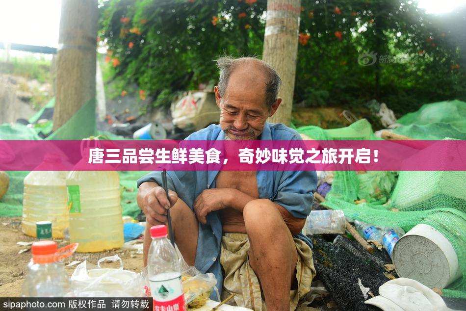 唐三品尝生鲜美食，奇妙味觉之旅开启！