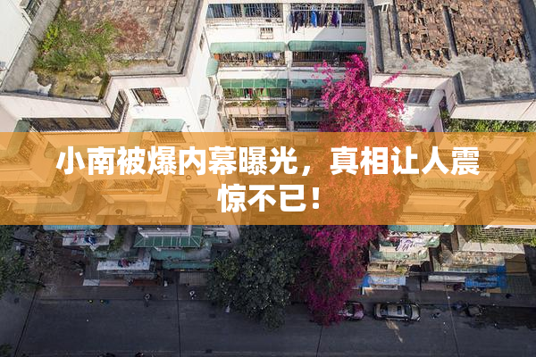 小南被爆内幕曝光，真相让人震惊不已！
